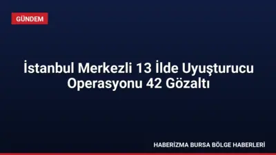 İstanbul merkezli 13 ilde düzenlenen operasyonda 42 şüpheli yakalandı, 7