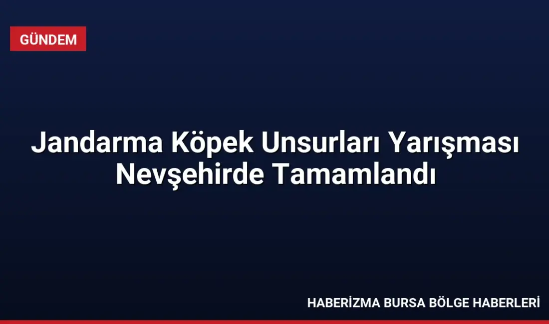 Nevşehir'deki Jandarma At ve Köpek Eğitim Merkezi'nde gerçekleşen yarışmaya 22