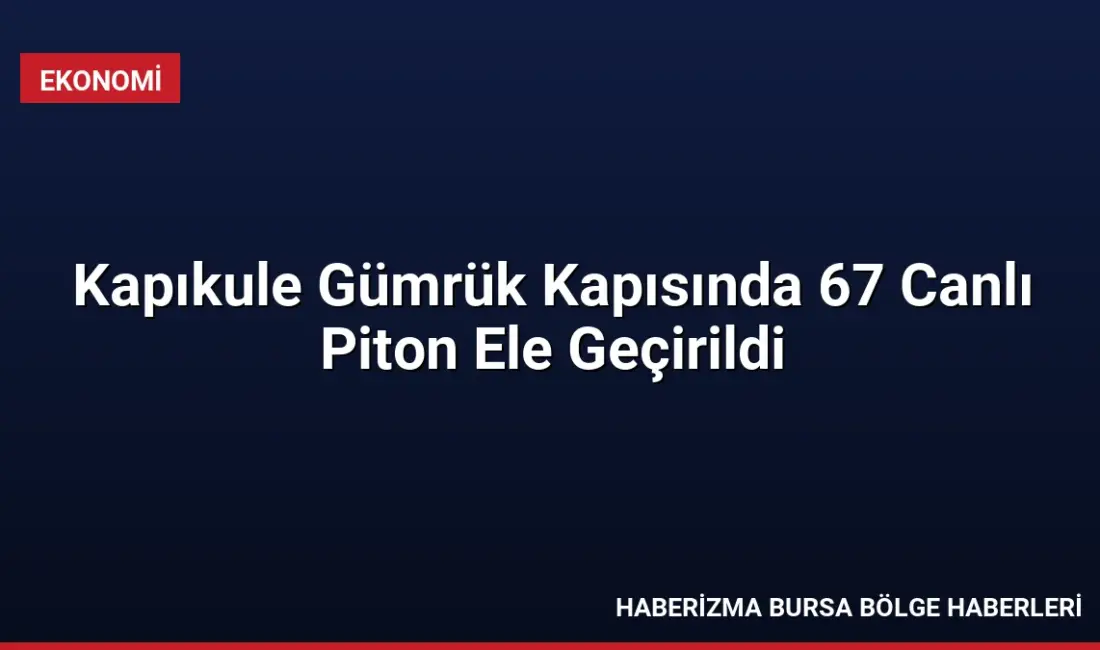 Kapıkule Gümrük Kapısı'nda yapılan kontrollerde, bir araçtan çöp konteynerine bırakılan