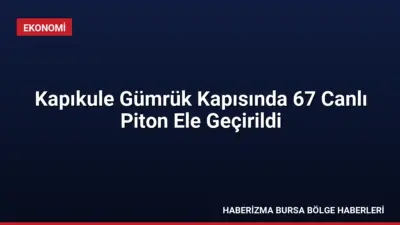 Kapıkule Gümrük Kapısı'nda yapılan kontrollerde, bir araçtan çöp konteynerine bırakılan