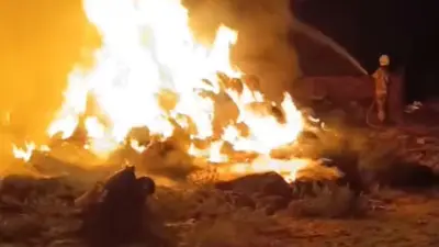 Bursa’nın Karacabey ilçesinde gece saatlerinde bir çiftlikte çıkan yangın paniğe