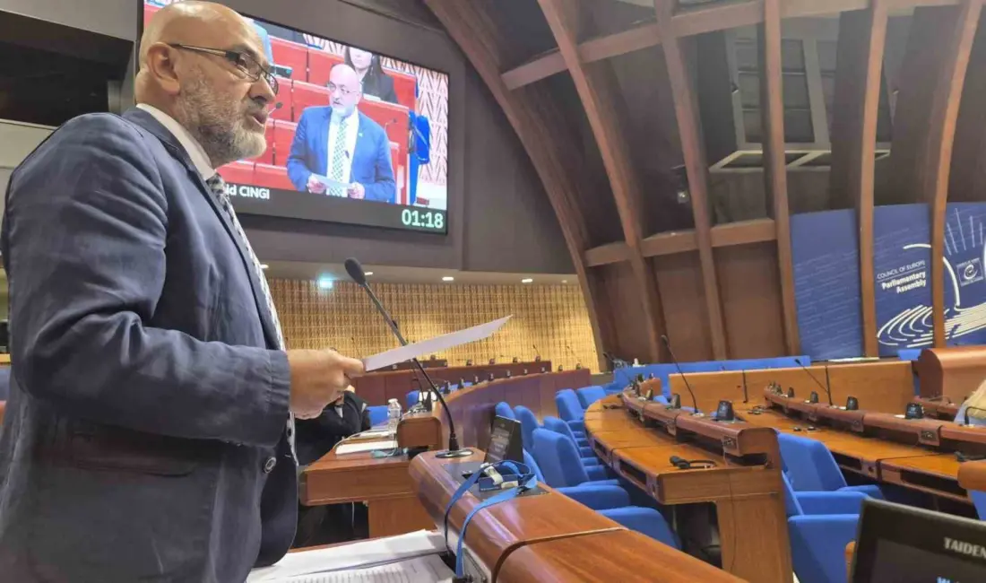 AK Parti Kayseri Milletvekili Dr. Murat Cahid Cıngı; Avrupa Konseyi