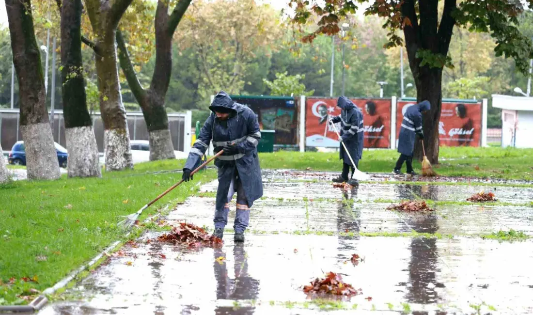 Osmangazi Belediyesi, sonbaharın gelişiyle birlikte ağaçlardan dökülen yaprakları titizlikle yürüttüğü