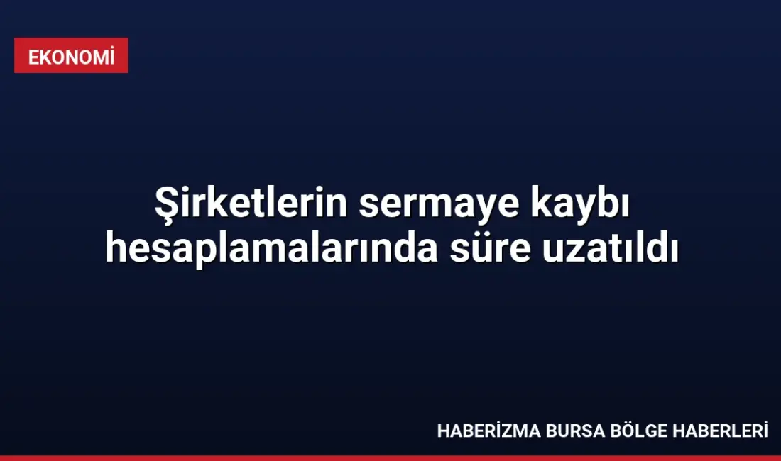 Türk Ticaret Kanunu kapsamında şirketlerin sermaye kaybı hesaplamalarında uygulanan muafiyet
