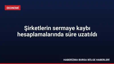 Türk Ticaret Kanunu kapsamında şirketlerin sermaye kaybı hesaplamalarında uygulanan muafiyet