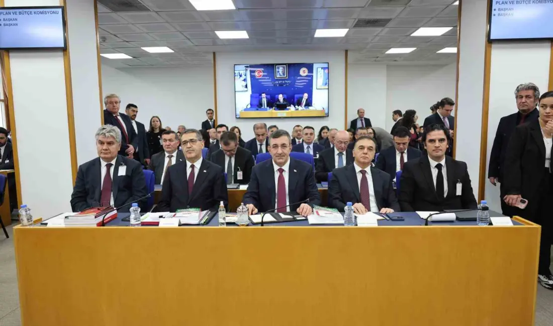 TBMM Plan ve Bütçe Komisyonu’nda bütçe görüşmeleri esnasında Cumhurbaşkanı Yardımcısı