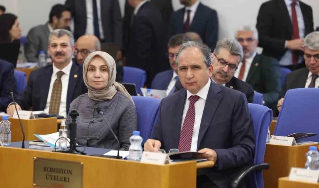 AK Parti Uşak Milletvekili İsmail Güneş, TBMM Plan ve Bütçe