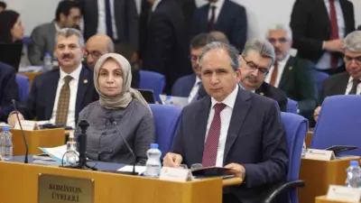 AK Parti Uşak Milletvekili İsmail Güneş, TBMM Plan ve Bütçe