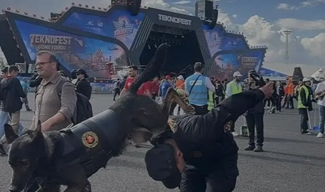 Şanlıurfa'da düzenlenen TEKNOFEST Güneydoğu'da JÖAK bünyesindeki özel eğitimli operasyon köpekleri