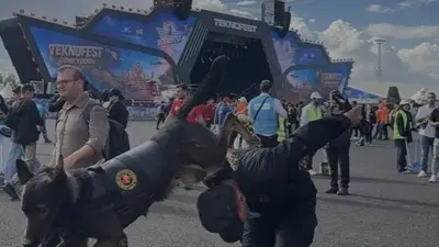 Şanlıurfa'da düzenlenen TEKNOFEST Güneydoğu'da JÖAK bünyesindeki özel eğitimli operasyon köpekleri