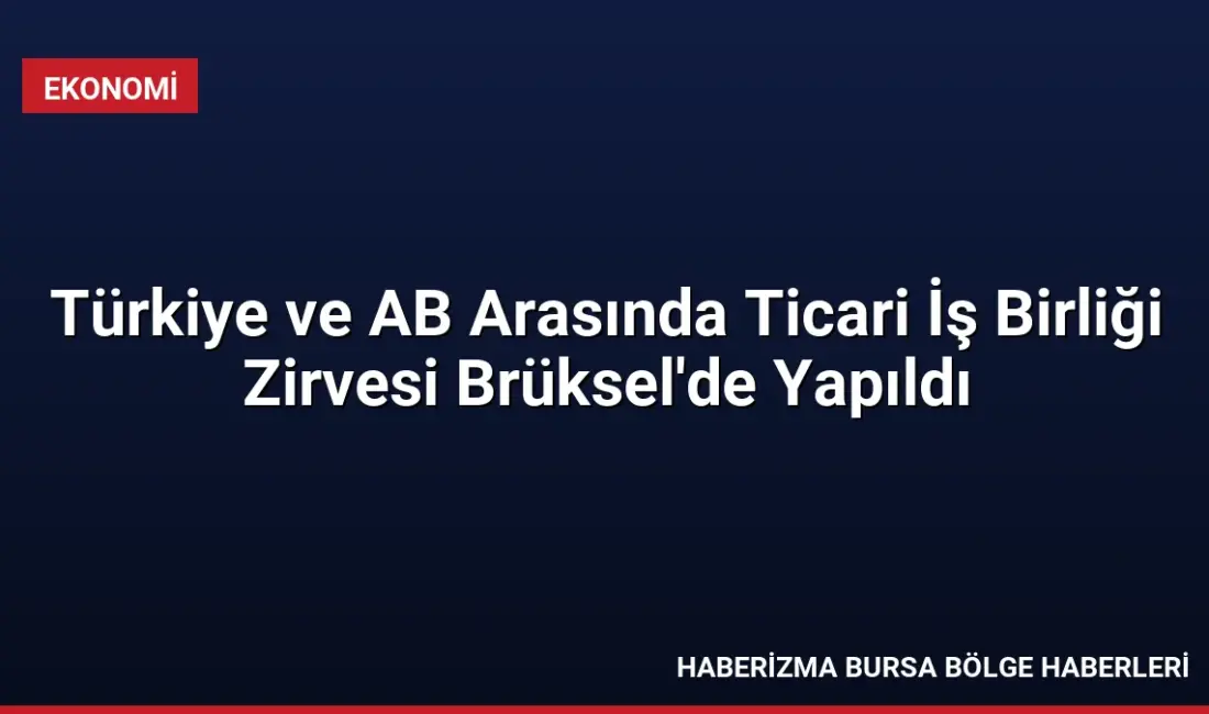 Türkiye ve AB, 217,6 milyar avroluk ticaret hacmini geliştirmek için
