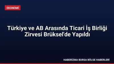 Türkiye ve AB, 217,6 milyar avroluk ticaret hacmini geliştirmek için