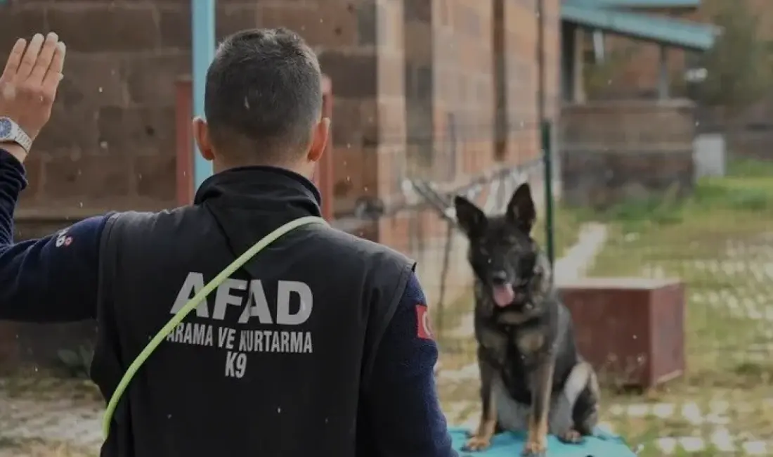 Van AFAD, enkaz ve arazi aramalarında görev alacak Börte ve