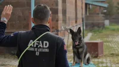 Van AFAD, enkaz ve arazi aramalarında görev alacak Börte ve