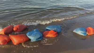 Mudanya İlçe Tarım Müdürlüğü ve Sahil Güvenlik ekipleri tarafından Eğerce