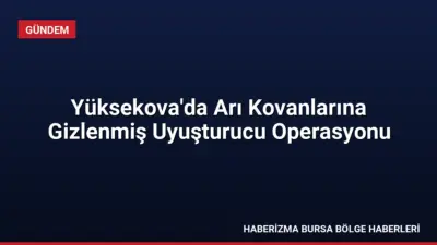 Hakkâri Yüksekova'da düzenlenen operasyonda, arı kovanlarına gizlenmiş 91,1 kilogram uyuşturucu